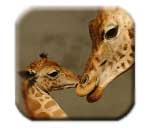 Knies Kinderzoo Rapperswil