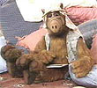 Alf